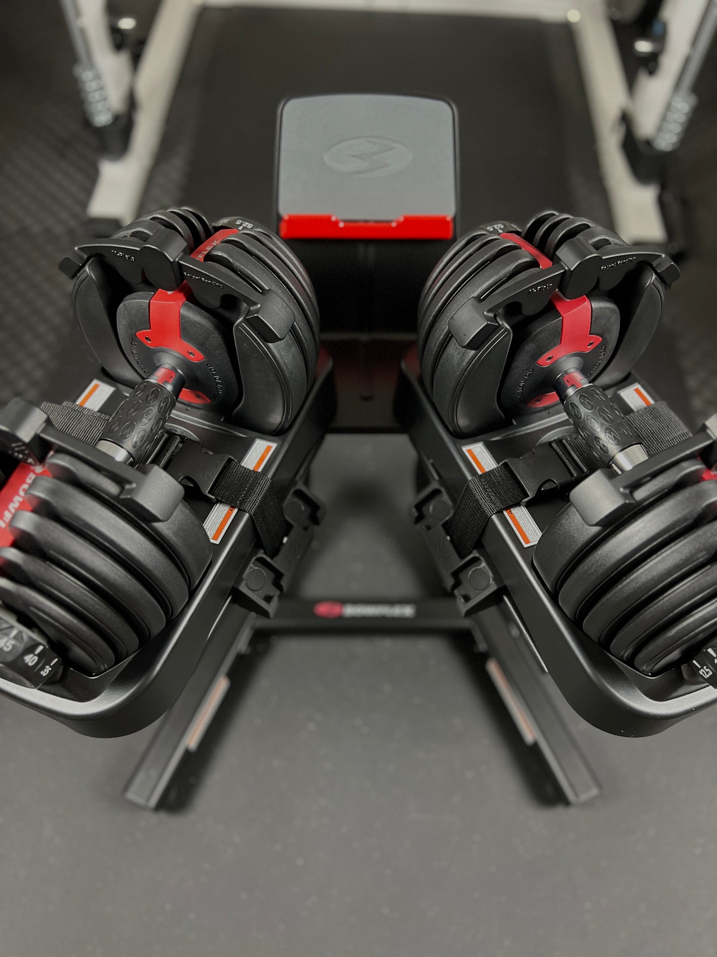 1.25LB M-Plates for BowFlex 552 Set of 4